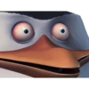 Los pingüinos de Madagascar (sticker.fan) 16