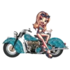 Bikers Girls 27
