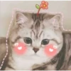 2 GaTiToS ♡ MeOw 29