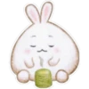 Rabbit pupi 21