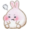 Rabbit pupi 22