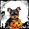 Perritos Halloween ✺1🇻🇪 30