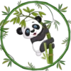 Pandita Cute ✺1🇻🇪 28