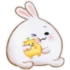 Rabbit pupi 25