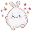 Rabbit pupi 26