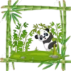 Pandita Cute ✺1🇻🇪 29
