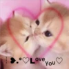 2 GaTiToS ♡ MeOw 30
