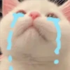 Michis Tristes 6