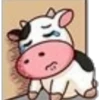 Cute Cow ✺1🇻🇪 6