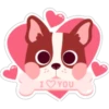 lovely 💖✨️ 5