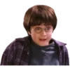 Harry Potter 10