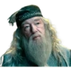 Harry Potter 11
