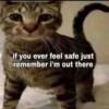 Cats 9