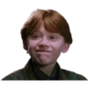 Harry Potter 12