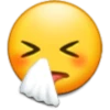 delightful emoji variety 12