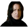 Harry Potter 17