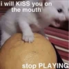 Cats 13