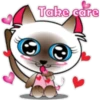 Baby cat pink 🫧🐈‍⬛ 15