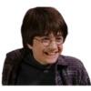 Harry Potter 19