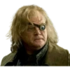Harry Potter 20
