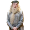 Harry Potter 21