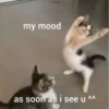 Cats 16