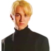 Harry Potter 22