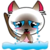 Baby cat pink 🫧🐈‍⬛ 16