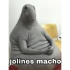 ANIMALITOS 21