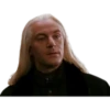 Harry Potter 23