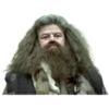 Harry Potter 24