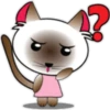 Baby cat pink 🫧🐈‍⬛ 19