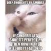 Cats 18