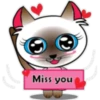 Baby cat pink 🫧🐈‍⬛ 20