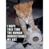 Cats 20