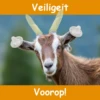 Trek 'm aan 2023 Stickerset 11