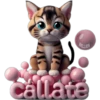 🐈 MiChI TóXiCo 🐈 14