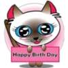 Baby cat pink 🫧🐈‍⬛ 23