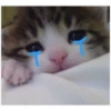 Michis Tristes 24