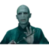 Harry Potter 27