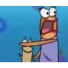 SpongeBob 24