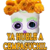 🏵Dia de los muertos 🏵💀🇲🇽 24