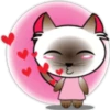 Baby cat pink 🫧🐈‍⬛ 28