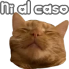 🐈‍⬛Gaticos🐈💕🇲🇽 3