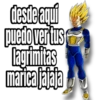 desde aquí puedo ver tus lagrimitas marica jajaja