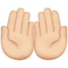 Big Hands emoji(Apple) 8