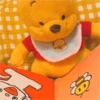 WINNIE POOH FRIENDS 6