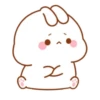 Bunny・W・🐰🩷 5