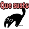 🧿Gatitos Michis Miau🐈 5
