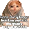 🐈‍⬛Gaticos🐈💕🇲🇽 7
